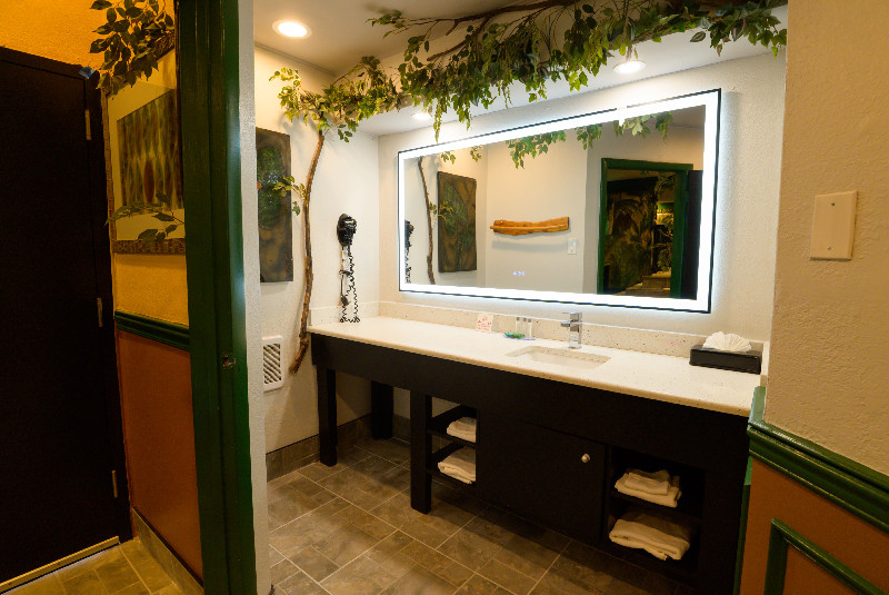 Inn of The Dove - Vanity